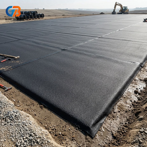 Géomembrane HDPE 2 mm pour dépon, revêtement de bassin, lac artificiel, dépon, ferme piscicole, revêtement de barrage - Product Image 1