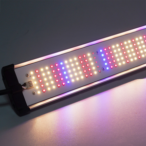 ไฟ LED แถบแสงสำหรับปลูกผักสมุนไพร microgreens 3.0สเปกตรัมเต็มรูปแบบ umol/<span class=keywords><strong>j</strong></span> <span class=keywords><strong>Samsung</strong></span> - Product Image 2