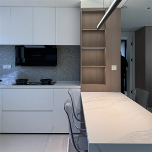 Popolare angolo cottura moderno impostato in cucina di Design cina armadio in melamina con carcassa in acciaio lavello per uso appartamento - Product Image 1