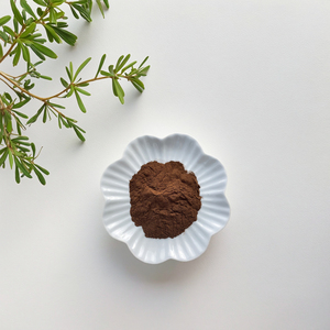 אבקת תמצית שורשים אורגנית איכותית לאנרגיה יומיומית, תמיכה ביצוא אנרגטי ועמידות בפעילות גופנית, באריזת תוף/פחית, טהורה וחזקה לאורך זמן - Product Image 4