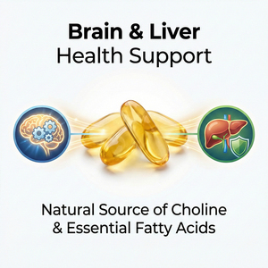 Sunflower Lecithin Softgel Capsules High-Purity with Phosphatidyl Choline &amp; <strong>Olive</strong> Oil for Adult Heart &amp; Brain Care Gluten-Free - Product Image 3