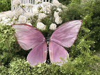 Drone papillon LED RC rechargeable JIN PENG pour la décoration de mariage, vente en gros