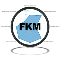 Maßgefertigte Hochwertige FKM O-Ringe Hervorragende Witterungsbeständigkeit Dichtungsleistung Präzisionstoleranz 0,05mm Lebensmittelqualität