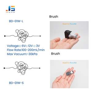 高性能<span class=keywords><strong>3V</strong></span> 6Vミニダイヤフラム低圧ウォーターポンプステンレス鋼シーリング1/2排出パイプ（自動車OEM向け） - Product Image 2