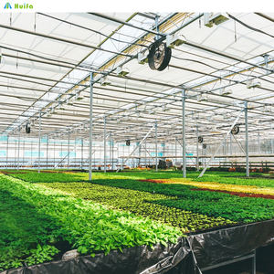 Serre agricole à structure métallique intelligente, tunnel commercial, multi-voûtes, simple couche, film PE, serre pour la culture de la tomate, <span class=keywords><strong>en</strong></span> vente - Product Image 5