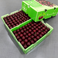 Caisse de transport en Corflute durable pour cerises, résistante aux chocs, incolore, inodore, boîte d'emballage pour fruits