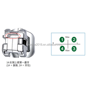 Orthodontie dentaire de haute qualité Original <span class=keywords><strong>Damon</strong></span> Q2 Supports auto-ligaturants Bondable - Product Image 4