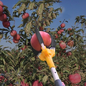 Kính thiên văn trái cây picker 1.5-3M lao động tiết kiệm cao chi nhánh dài đạt trái cây picker với cao su Paw - Product Image 4