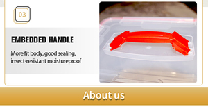 Đồ Lặt Vặt Quần Áo Hộp Nhựa Hộp Lưu Trữ OEM Có Sẵn Trang Chủ Pp Tập Tin Lưu Trữ Container Hộp <span class=keywords><strong>Bin</strong></span> Hộp Nhựa Có Tay Cầm - Product Image 6