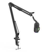 Microphone de streaming filaire USB Type-C ARS-55 pour PC de jeu, à prix d'usine, avec suppression du bruit, microphone de bureau à condensateur RGB