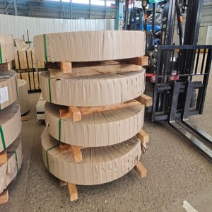 <span class=keywords><strong>CSA</strong></span> tấm mạ kẽm bền dễ dàng quá trình cuộn dây thép cho kết cấu thép nhẹ hộ gia đình phụ kiện phần cứng chống gỉ - Product Image 2