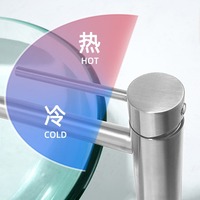 Robinet de lavabo en acier inoxydable 304 à poignée unique avec cartouche céramique, pour montage sur comptoir, hauteur WC, double commande chaud/froid