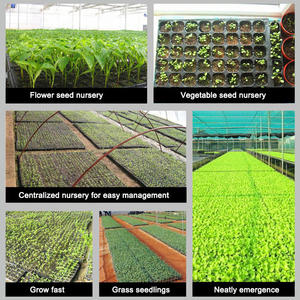 Hydroponic Plastic Tray <b>Nursery</b> Seed Growing for Fodder System - Product Image 6