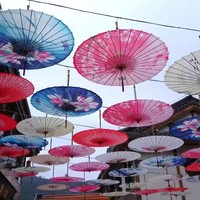 Parapluie Chinois en Papier Huilé Fait Main, Ombrelle Artistique Classique pour Danse, Photographie de Mariage, Soie Très Résistante au Vent, Voyage