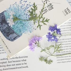 Sud-américain Fausse <span class=keywords><strong>Verveine</strong></span> Petite <span class=keywords><strong>Verveine</strong></span> Avec Branche Fleurs Pressées Résine Oeuvre Cadre DIY Artisanat Bougie Epoxy - Product Image 2