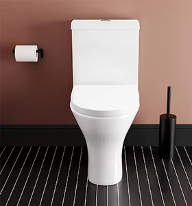 Baño de baño Euro cerámica Baño <span class=keywords><strong>Vater</strong></span> Sin montura Confort Altura Hogar Soporte WC Cierre suave Asiento inodoro y lavabo ser - Product Image 6