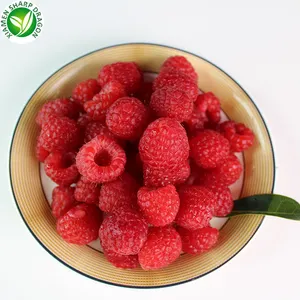 Frozen IQF Raspberries beri organik jumlah besar pengiriman terbaik segar hitam merah tanpa biji Raspberry manis buah grosir harga