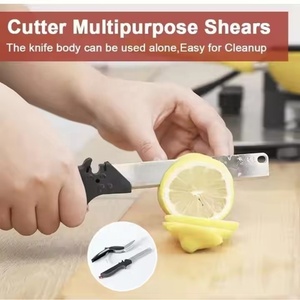 <span class=keywords><strong>HelloWorld</strong></span> 2in1 Ciseaux de coupe de fruits et légumes alimentaires Ciseaux de cuisine polyvalents en acier inoxydable avec couteau et planche à découper - Product Image 5
