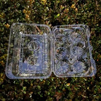 Couvre-boîtes jetables transparents de qualité alimentaire pour animaux de compagnie, 6 pièces, boîte à cupcakes rectangulaire en plastique à charnière, boîte à clapet