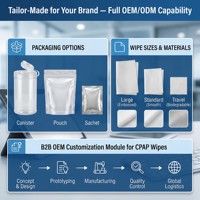Lingettes de nettoyage quotidiennes pour masque CPAP, non parfumées, lingettes humides pour CPAP, fabriquées en usine