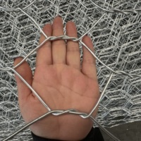 Cage gabion soudée galvanisée avec treillis à mailles losangées anti-escalade pour usage ferroviaire, hauteur 6 pieds