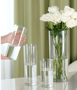 Vente en gros grand <span class=keywords><strong>vase</strong></span> hydroponique de bonne qualité pour plantes aquatiques - Product Image 5