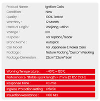 Direkter Fabrikpreis Zündspulen für VW Santana Golf Passat für Audi A3 A4 A6 A7 032905106 04E905110A IATF 16949 Zertifiziert