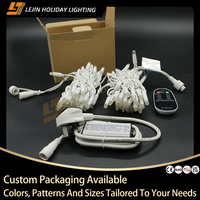 Guirnalda de Luces LED de Alta Calidad Personalizada para Jardín, Bodas y Decoración Navideña, con Control Remoto, Dos Colores, Clasificación IP65, 100 LED