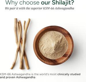 Bikom OEM 10-en-1 Alpha Shilajit Gummies Shilajit Resina Ashwagandha Mejora la memoria Boost Energy Maca <span class=keywords><strong>Root</strong></span> Suplemento para adultos - Product Image 6