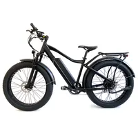 אמזון ספק 500W מנוע למבוגרים חשמלי שומן צמיג אופניים, השעיה מזלג 26 ''הר Ebike 20MPH חשמלי אופני הרים.