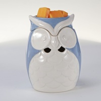 Brûleur d'encens électrique en céramique personnalisé en forme de hibou, Lampe chauffe-cire électrique, Chauffe-bougie, Lampe à parfum, Brûleur de cire, Cire fondante aromatique ETL