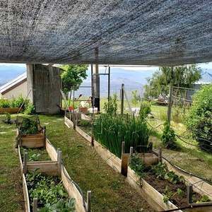 Malla de Sombra Agrícola de HDPE con Protección UV e Inhibidor de Rayos UV - Product Image 1