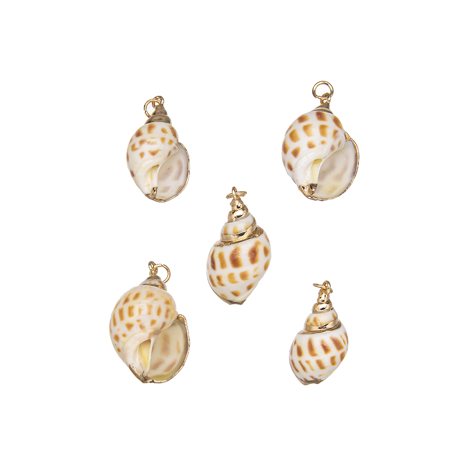 Conch Sankha Locket Gold - Natural Shell Pendant Jewelry