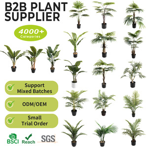 Árbol de <span class=keywords><strong>Acacia</strong></span> Artificial de Alta Calidad, Certificado, con Tacto Realista, de PE Ecológico y Duradero, para Interiores, Jardín, Hogar, Festivales, Maceta, Oficina - Product Image 2