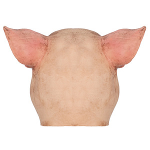 Máscara <span class=keywords><strong>de</strong></span> Cabeza <span class=keywords><strong>de</strong></span> Cerdo <span class=keywords><strong>de</strong></span> <span class=keywords><strong>Terror</strong></span> <span class=keywords><strong>de</strong></span> Látex <span class=keywords><strong>de</strong></span> Cyou Factory, Máscara <span class=keywords><strong>de</strong></span> <span class=keywords><strong>Terror</strong></span> Completa, Accesorios <span class=keywords><strong>de</strong></span> Disfraz Aterrador para Adultos, Máscara <span class=keywords><strong>de</strong></span> Halloween - Product Image 5