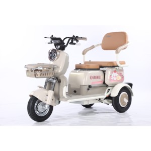 48V/60V 3-Speed Brushless Rear Hub Motor Carbon Steel Frame Hydraulic Drum Brakes Tricycle - Product Image 1