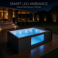 Piscine hors sol de luxe intégrée haut de gamme avec fenêtre en verre, piscine extérieure moderne pour jardin 20ft/40ft