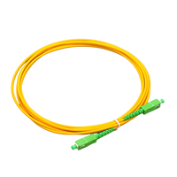 Kabel Patch Fiber Optik LC/UPC-LC/APC SM G652D/G657A1/A2 Kustom untuk Penggunaan Dalam Ruangan Single Mode 2.0mm 3.0mm SC/LC/FC FTTH PVC/LSZH 1
