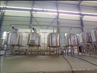 Système de fermentation 300L 500L 800L 5HL brasserie brasserie pub projet clé en main équipement de brassage de bière