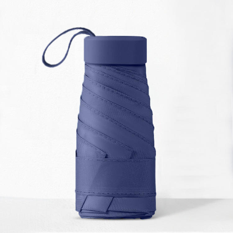 Bleu marine