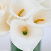 Bouquet de lys Calla artificiels de qualité supérieure, 10 têtes, blancs, pour la décoration florale de mariages et d'événements