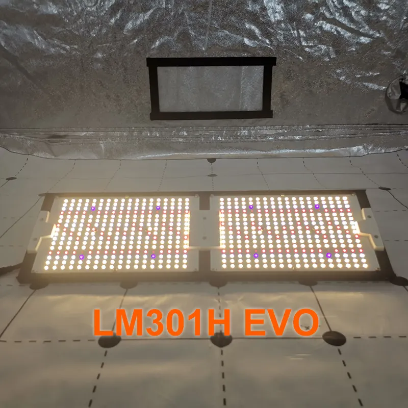 No Tax to Thailand!!!Samsung LM301H EVO KingBrite 240W Dimmable Led Grow Light With Meanwell Driver
