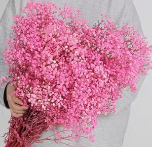 Baby Breath Dried <strong>Flowers</strong> Pampas Grass 120g/bunch Wholesale Decorative Eternal Bouquet For Graduation Christmas Easter - Product Image 6