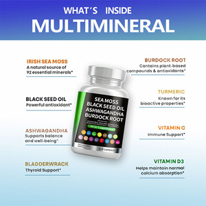 OEM Private Label Großhandel Meeresalgen Schwarzkümmelöl Ashwagandha Klettenwurzel Kapseln Nahrungsergänzungsmittel zur Unterstützung des Allgemeinen Wohlbefindens - Product Image 3