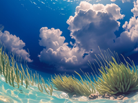 Série Kaili Sea : Tapis élégant à texture ondulée immersive, 50*50, en nylon 66 teint dans la masse, adapté aux animaux domestiques, lavable, résistant aux taches, pour la maison