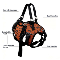Harnais pour animaux de compagnie en nylon respirant, réglable et confortable, avec soutien de soulagement de la pression, style simple et motif imprimé