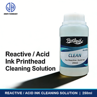 PrinthLiquid 250ml Solution de nettoyage de tête d'impression pour encres pigmentées, à base d'eau, éco-solvant et UV, nettoyant pour têtes d'impression