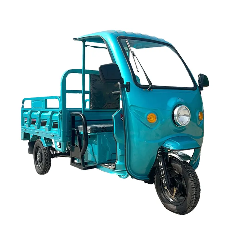 Trung Quốc dành cho người lớn điện ba bánh điện ba bánh hàng hóa công suất cao điện Trike Scooter Cargo xe đạp để bán