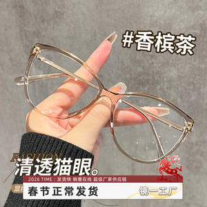 Gafas de sol Danyang para mujer, con montura TR90, protección contra la luz azul, ligeras, para rostros cuadrados y redondos, 38061 - Product Image 2