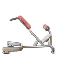 Vente en gros de chaise romaine de haute qualité banc de gymnastique d'entraînement machine d'extension de dossier de chaise de banc romain abdominal